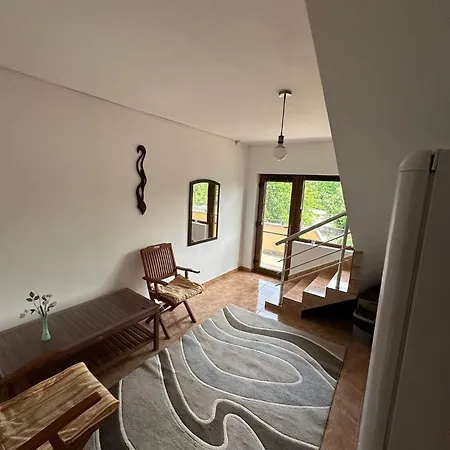 Camelia Гостевой дом