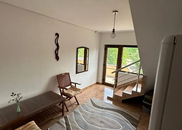 Camelia Affittacamere